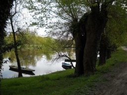 2009-04-18 11-00-54